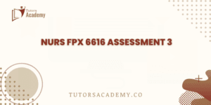 NURS FPX 6616 Assessment 3