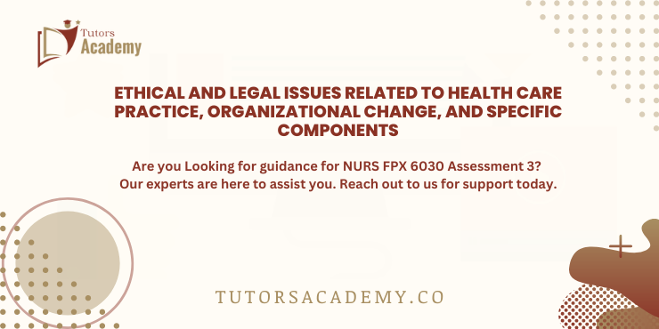 NURS FPX 6030 Assessment 3