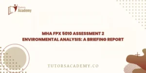 MHA FPX 5010 Assessment 2 Environmental Analysis: A Briefing Report