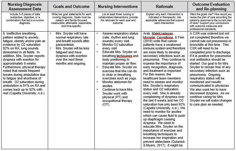 NURS FPX 6610 Assessment 2 Patient Care Plan