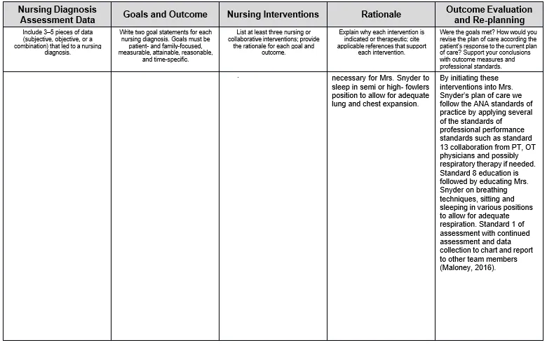 NURS FPX 6610 Assessment 2 Patient Care Plan