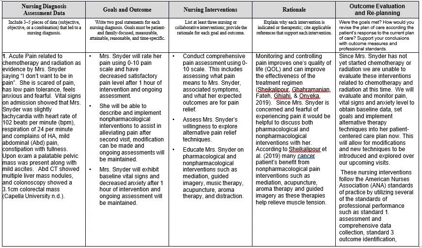 NURS FPX 6610 Assessment 2 Patient Care Plan