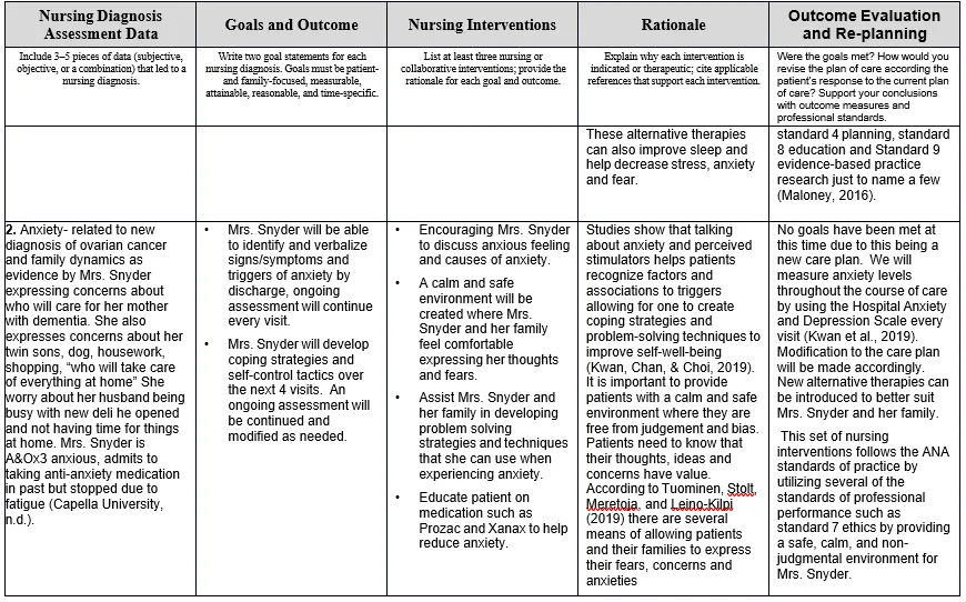 NURS FPX 6610 Assessment 2 Patient Care Plan