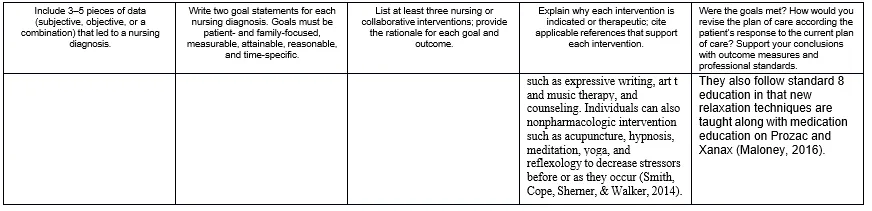 NURS FPX 6610 Assessment 2 Patient Care Plan