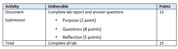 Grading Rubric