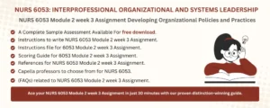 NURS 6053 Module 2 week 3 Assignment Developing Organizational Policies and Practices