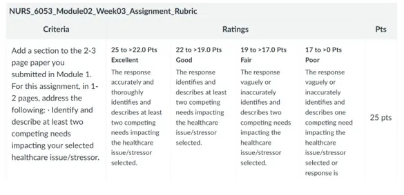 NURS 6053 Module 2 Week 3 Assignment Rubric