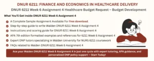 DNUR 6211 Week 6 Assignment 4 Healthcare Budget Request – Budget Development