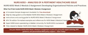 NURS 6053 Week 3 Module 2 Assignment Developing Organizational Policies and Practices