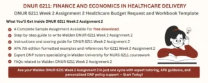 DNUR 6211 Week 2 Assignment 2 Healthcare Budget Request and Workbook Template
